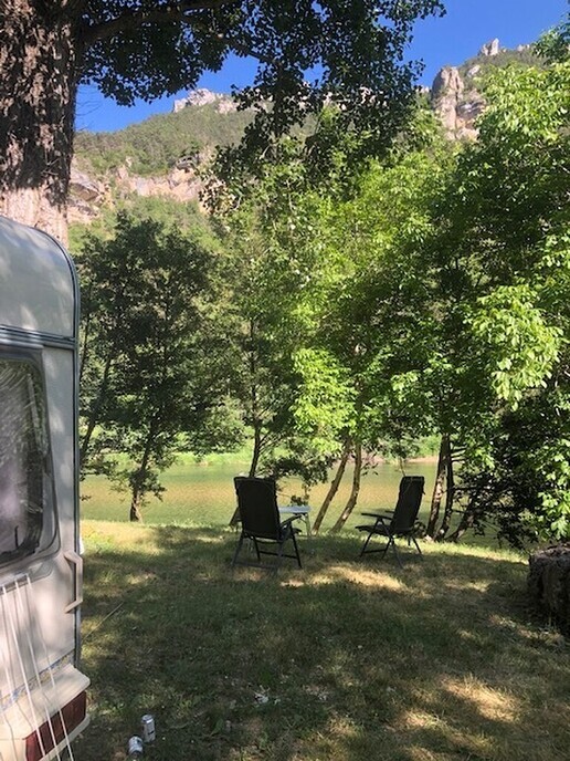 Dalfsenaren op vakantie - Foto: Ingezonden foto