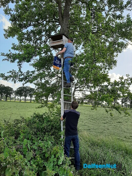 Roofvogels geringd in Nieuwleusen - Foto: Ingezonden foto