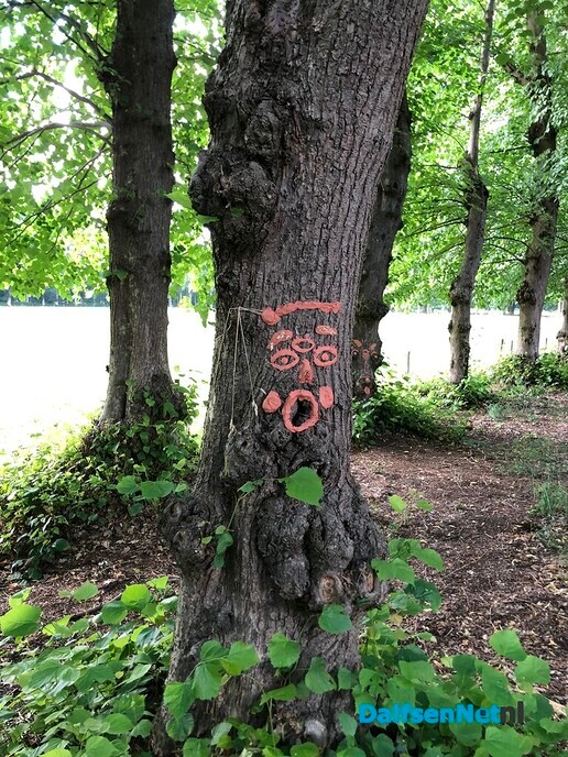 Bomen met een gezicht - Foto: Ingezonden foto