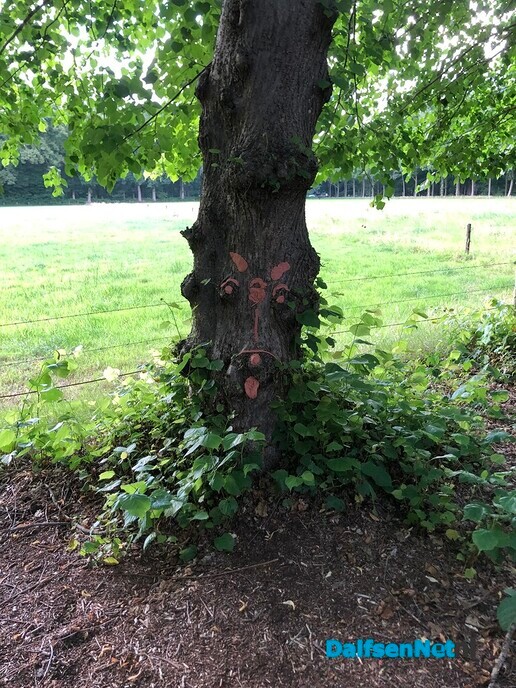 Bomen met een gezicht - Foto: Ingezonden foto
