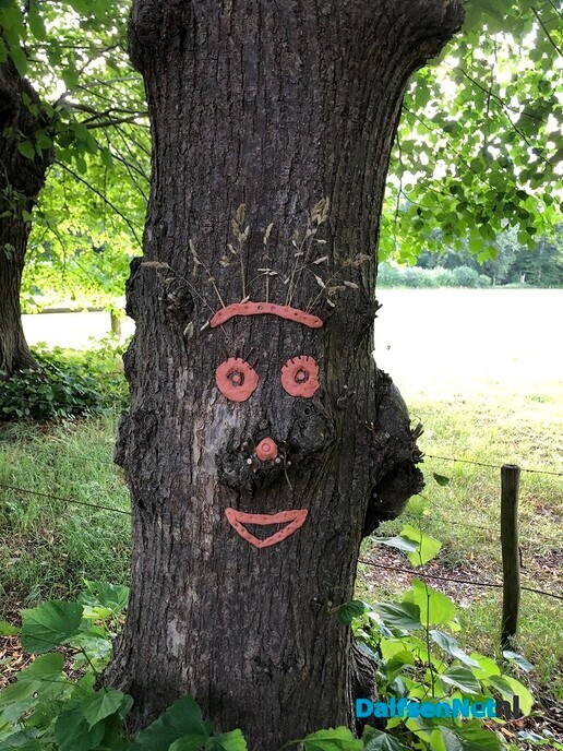 Bomen met een gezicht - Foto: Ingezonden foto