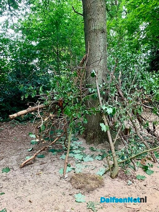 Creatief! - Foto: Ingezonden foto