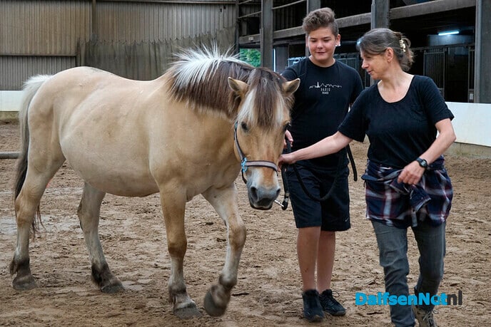 Oekraïense kinderen bezoeken manege Gerner - Foto: Paul Scholten