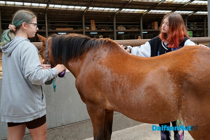 Oekraïense kinderen bezoeken manege Gerner - Foto: Paul Scholten
