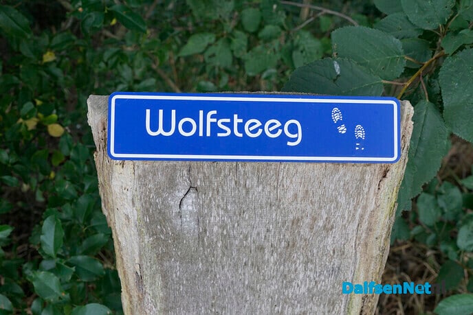 Wolfsteeg zonder wolven - Foto: Paul Scholten