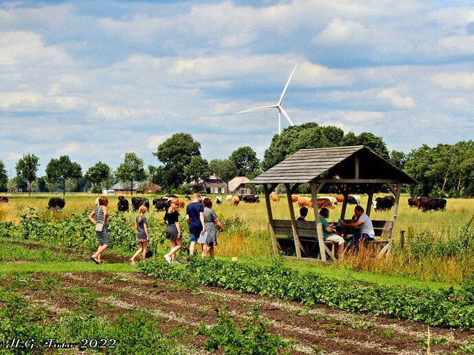 Zomerfestival Landjuweel “de Hoeven”