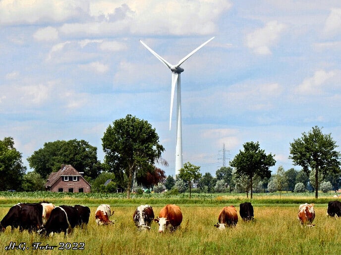 Zomerfestival Landjuweel “de Hoeven”