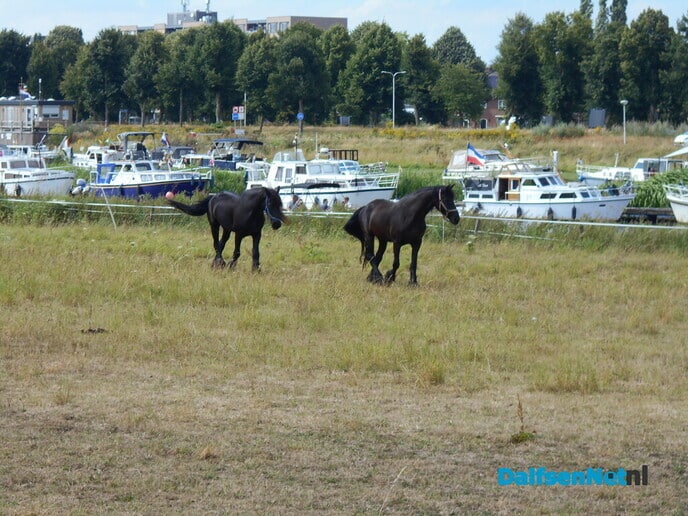 Ommen is ook heel mooi