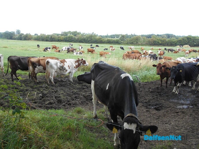Ommen is ook heel mooi