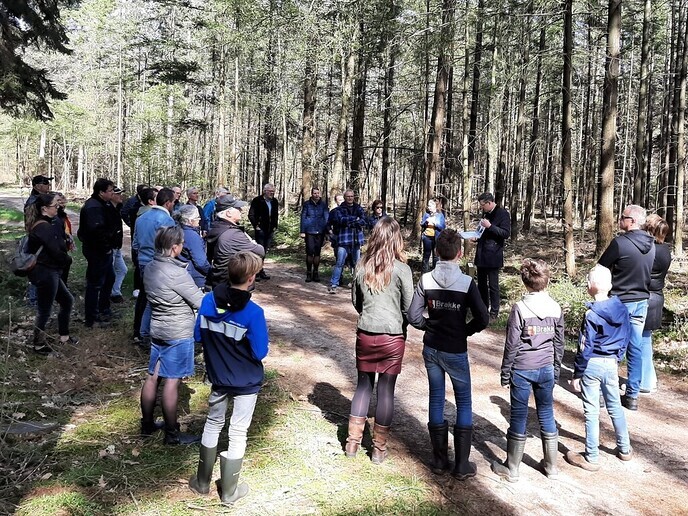 Interessante wandeling Boswachterij Staphorst’ o.l.v. gids - Foto: Ingezonden foto