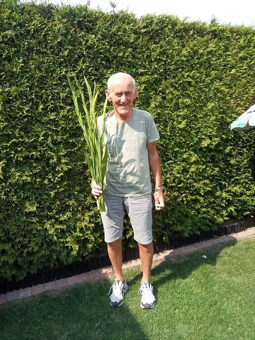 Hein Tielbeke (87) nu niet in Nijmegen - Foto: Ingezonden foto