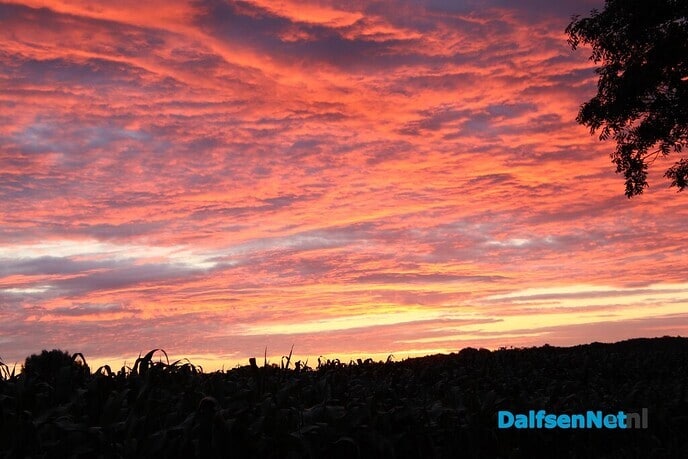 De bomen kleuren rood - Foto: Ingezonden foto