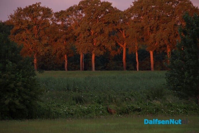De bomen kleuren rood - Foto: Ingezonden foto