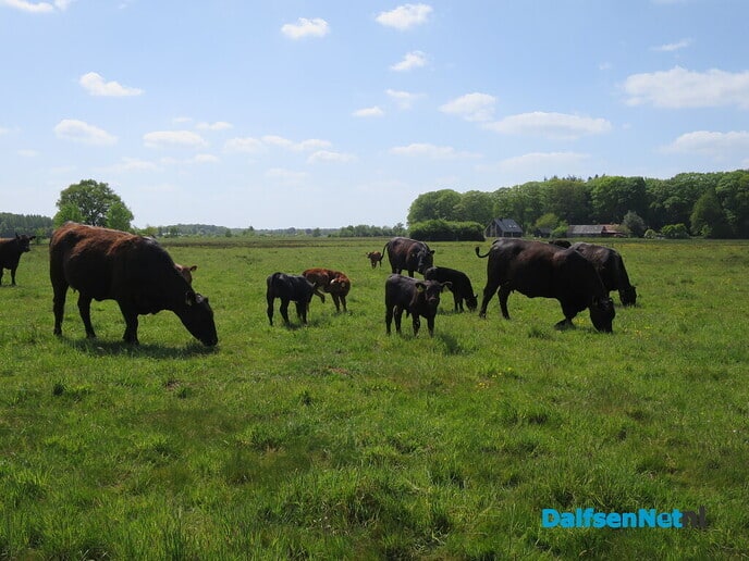 De Emmertochtsloot, een bijzonder natuurgebied - Foto: Wim