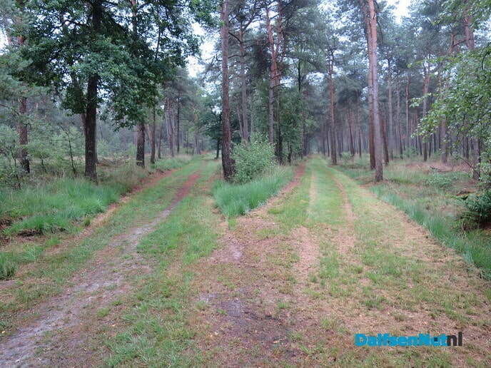 Gemaaide paden en aanpak biodiversiteit - Foto: Wim