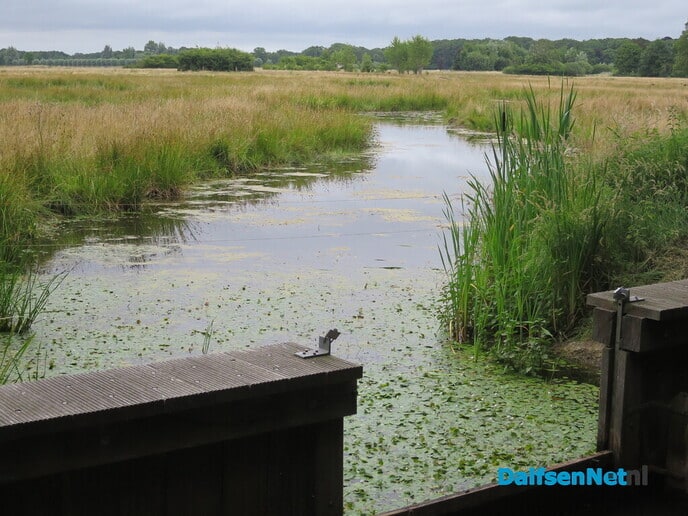 De Emmertochtsloot, een bijzonder natuurgebied - Foto: Wim