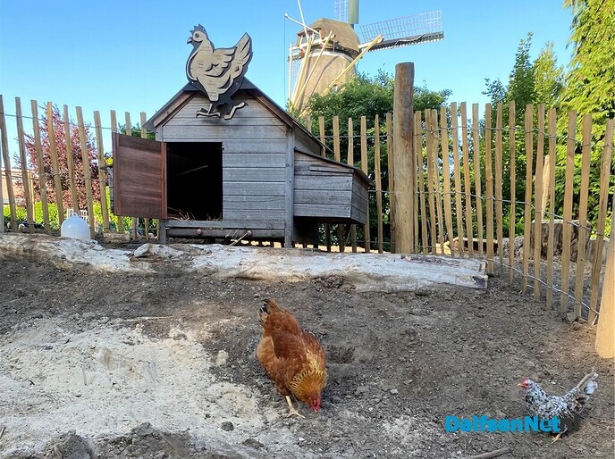 St. Cyriacus groen schoolplein - Foto: Ingezonden foto