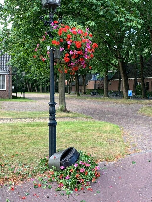 Jammer - Foto: Ingezonden foto