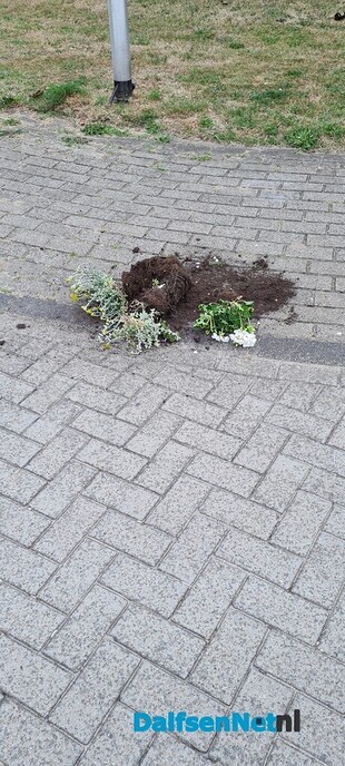Gesneuvelde bloempot gevonden (1) - Foto: Ingezonden foto