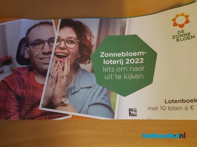 Zonnebloem Dalfsen - Foto: Ingezonden foto
