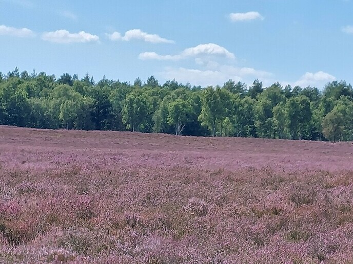 Groeten uit Heerde - Foto: Ingezonden foto