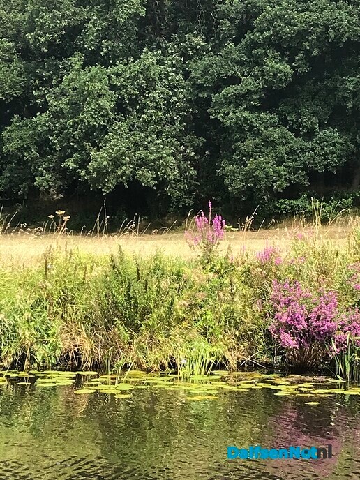 Hessumers varen naar Hessum ….. - Foto: Ingezonden foto