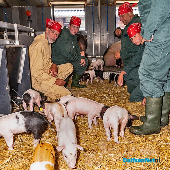Excursie “Biggetjes knuffelen” bij De Ruimte in Dalfsen - Foto: Paul Scholten