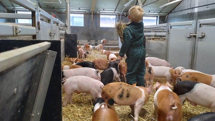 Kom jij ook biggen knuffelen? - Foto: Ingezonden foto