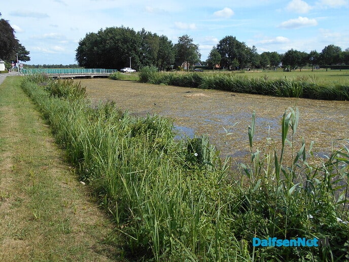 Overijssels kanaal lijkt net een hooiland