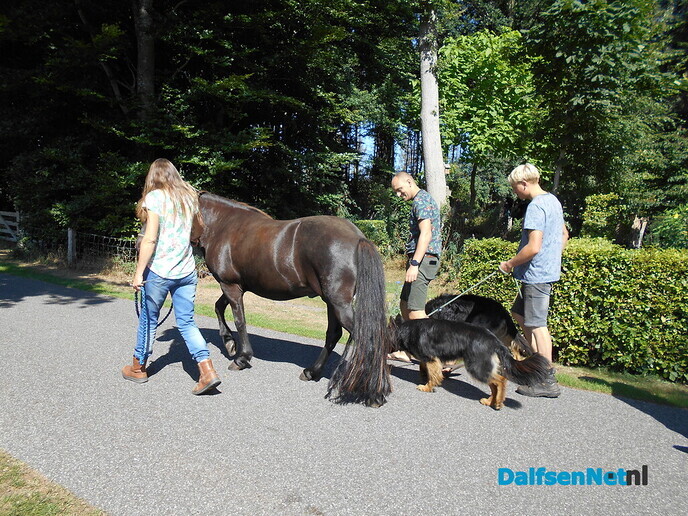 Elke ochtend een wandeling, de dieren gaan ook mee