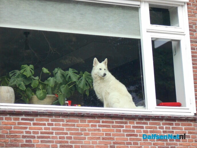 Ik houd hier de wacht
