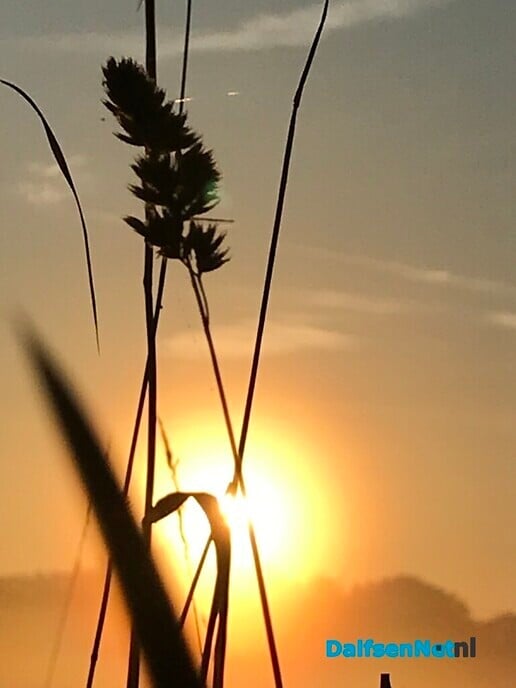 Een zonnige zondag …. - Foto: Ingezonden foto