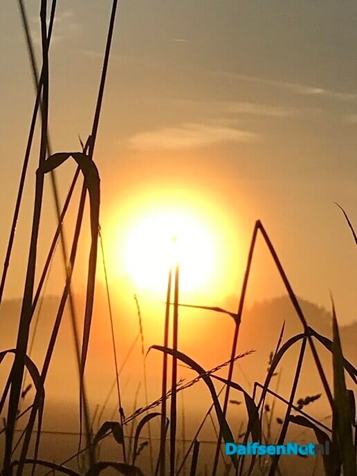 Een zonnige zondag …. - Foto: Ingezonden foto