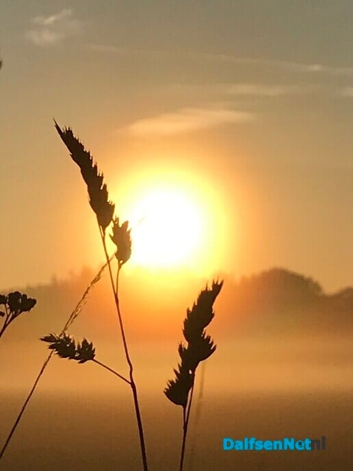 Een zonnige zondag …. - Foto: Ingezonden foto