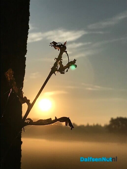 Een zonnige zondag …. - Foto: Ingezonden foto