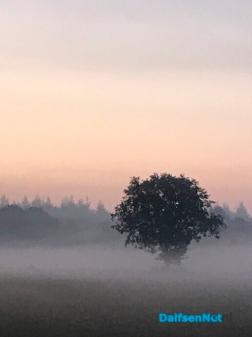 De zon … - Foto: Ingezonden foto