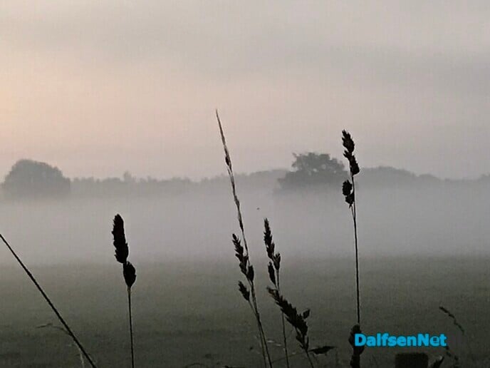 De zon … - Foto: Ingezonden foto