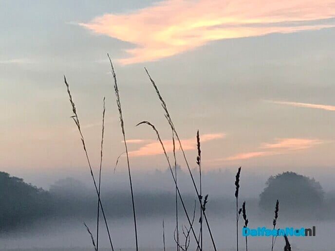 De zon … - Foto: Ingezonden foto