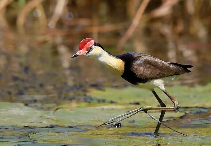 Geemancipeerd ? - Foto: Ingezonden foto