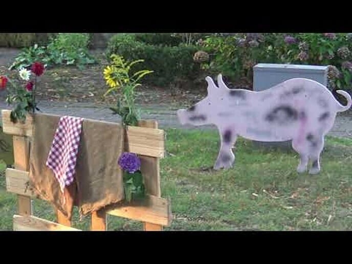 Oranjefeest Oudleusen Donderdag (Video)