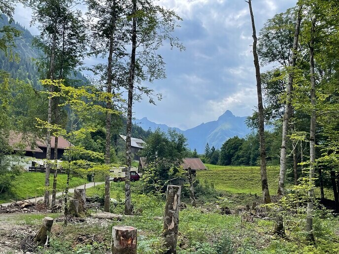 Vakantiefoto Duitsland - Foto: Ingezonden foto