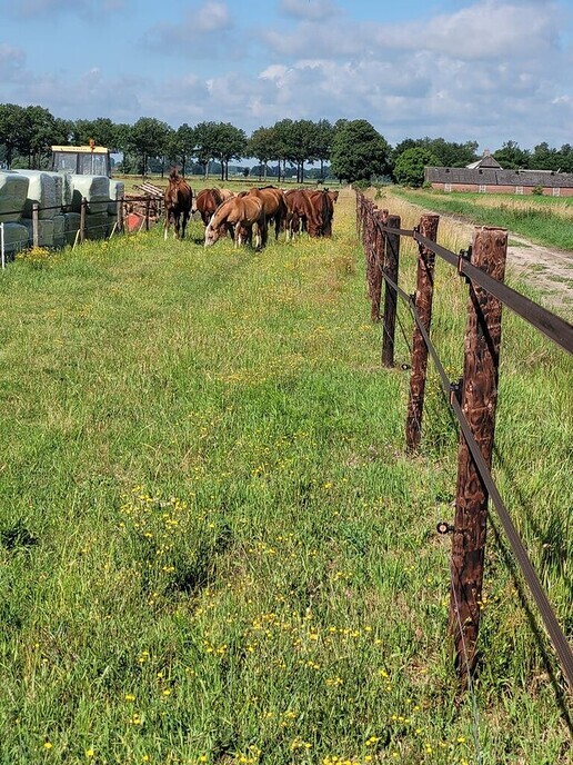 Kijk- en doe dag bij Rika - Foto: Eigen geleverde foto