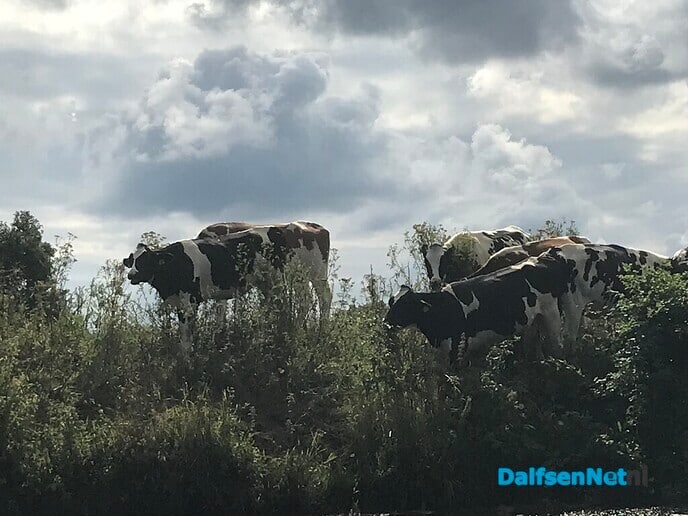 Hessumers varen naar Hessum ….. - Foto: Ingezonden foto