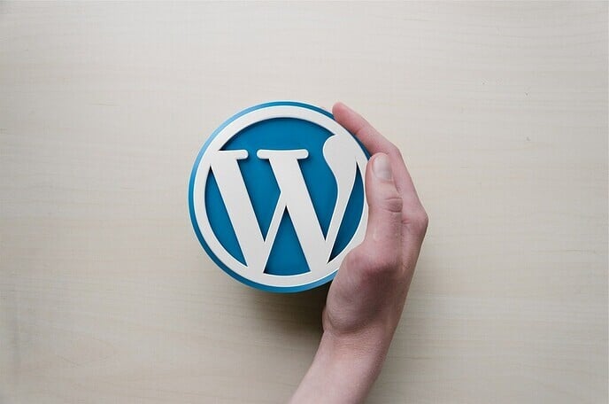 Onze tips voor iedereen die nieuw is met WordPress