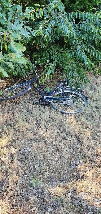 Damesfiets gevonden - Foto: Ingezonden foto