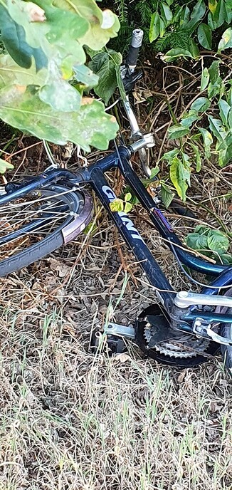 Damesfiets gevonden - Foto: Ingezonden foto