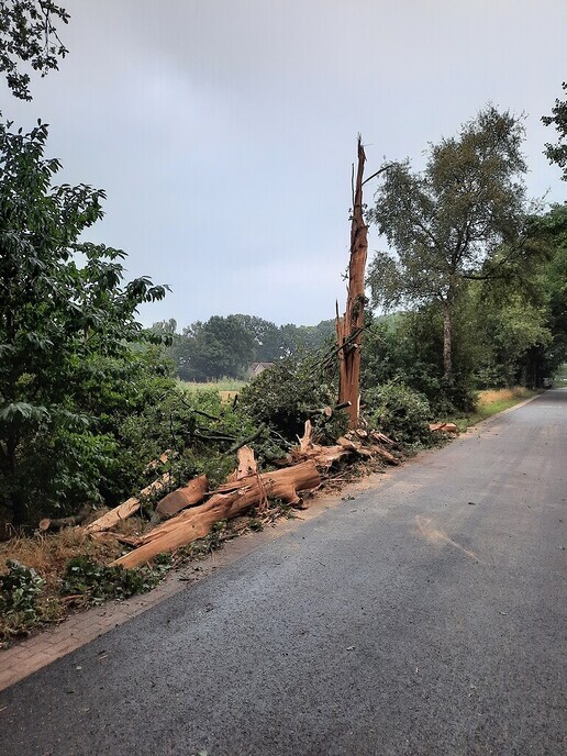 Blikseminslag in eik Herfteweg - Foto: Ingezonden foto