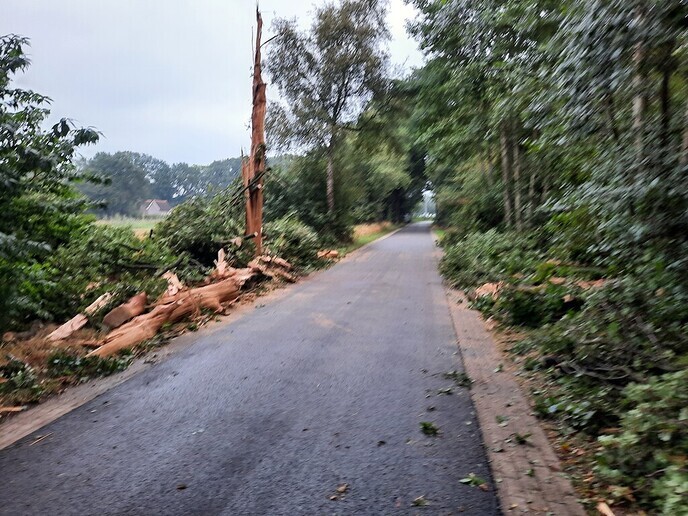 Blikseminslag in eik Herfteweg - Foto: Ingezonden foto