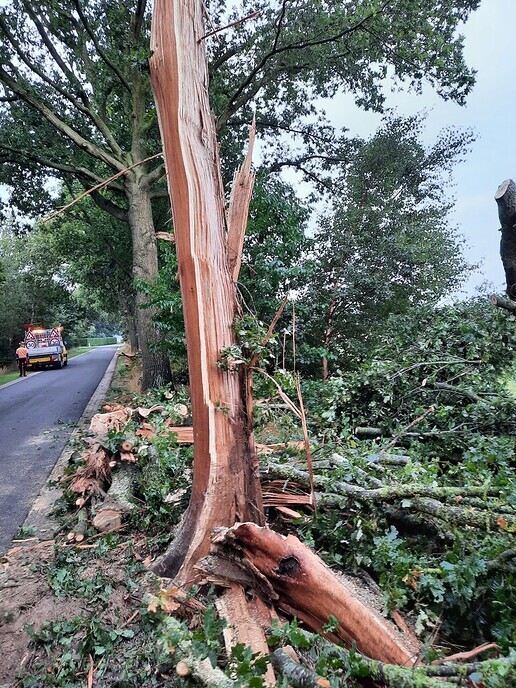 Blikseminslag in eik Herfteweg - Foto: Ingezonden foto