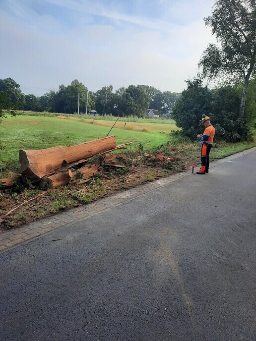 Blikseminslag in eik Herfteweg - Foto: Ingezonden foto